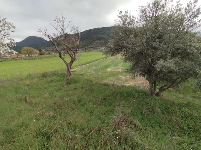 Finca/Herregård til salgs i Peñarroya de Tastavins - € 8 000 (Ref: 9791238)