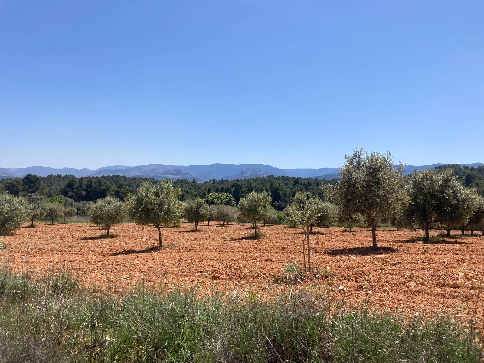 Finca/Landehus til salg i Cretas - € 9.500 (Ref: 9816023)