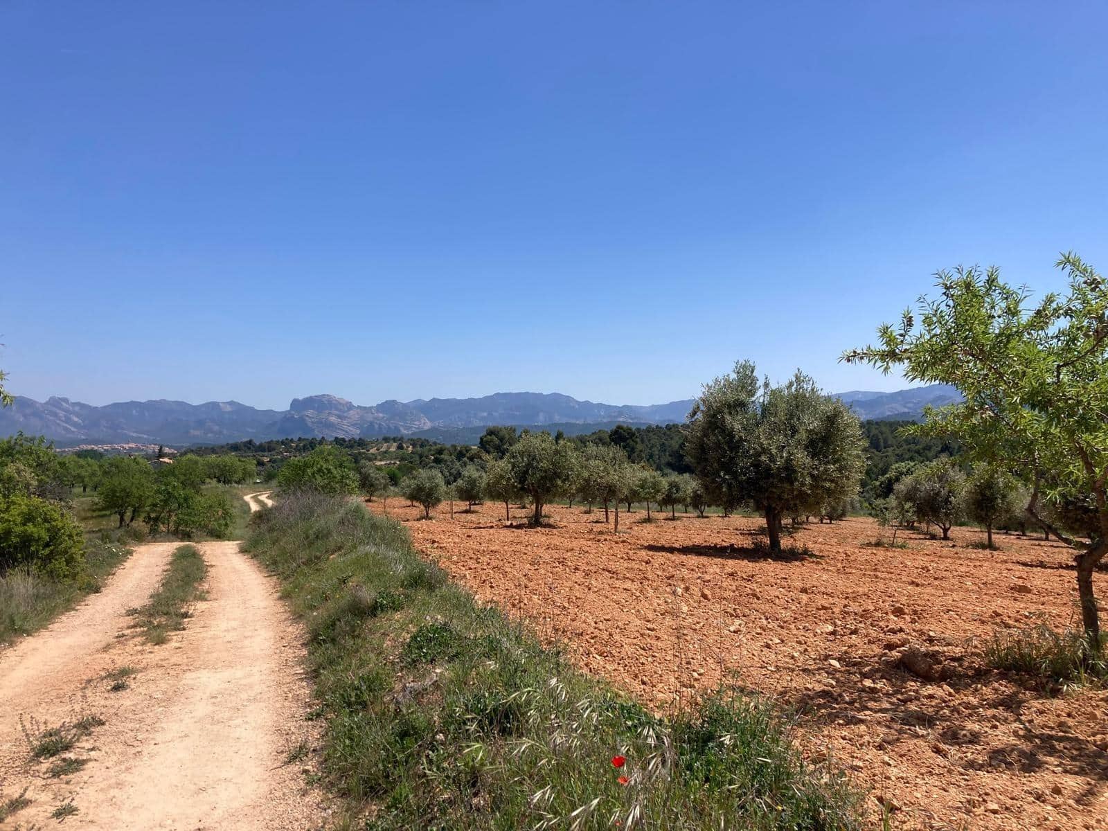 Finca/Landehus til salg i Cretas - € 9.500 (Ref: 9816023)