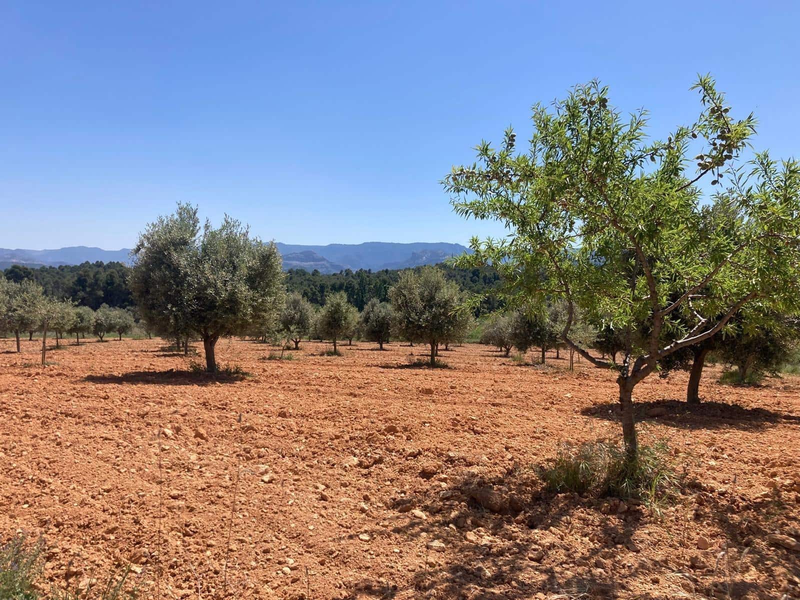 Finca/Landehus til salg i Cretas - € 9.500 (Ref: 9816023)