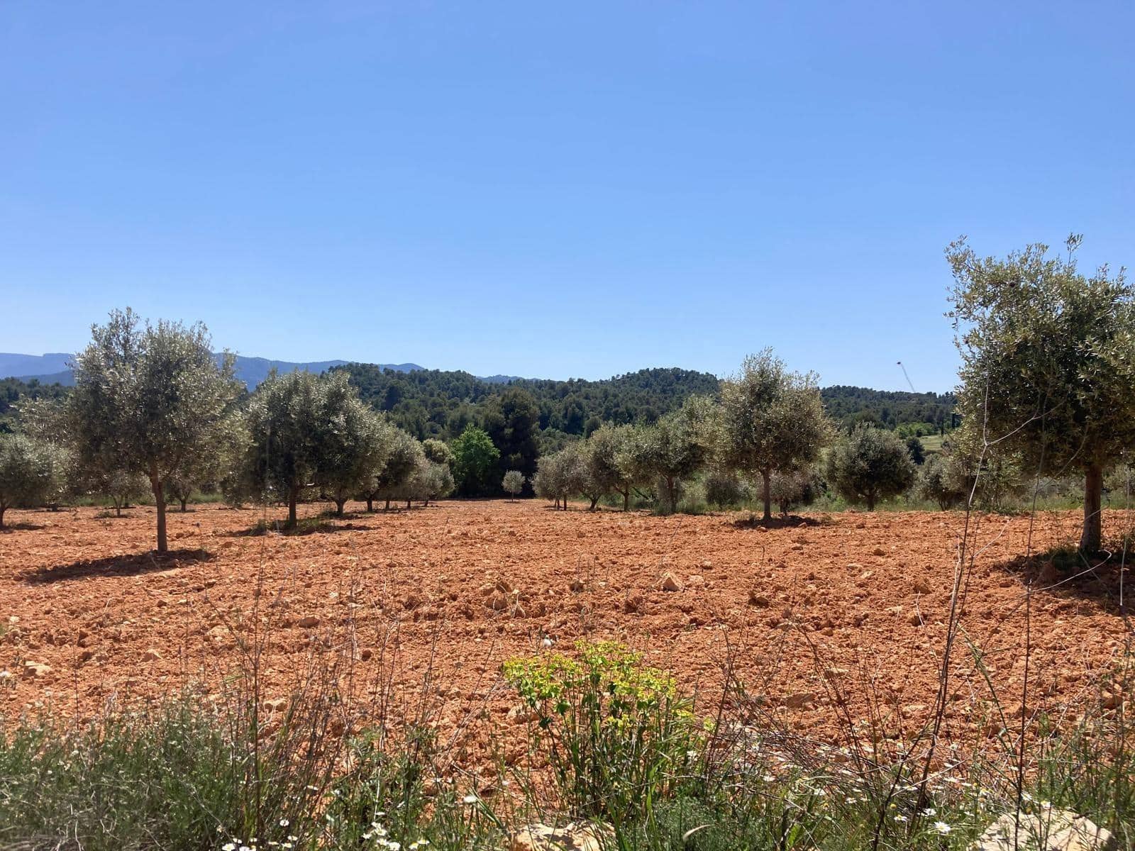 Finca/Landehus til salg i Cretas - € 9.500 (Ref: 9816023)