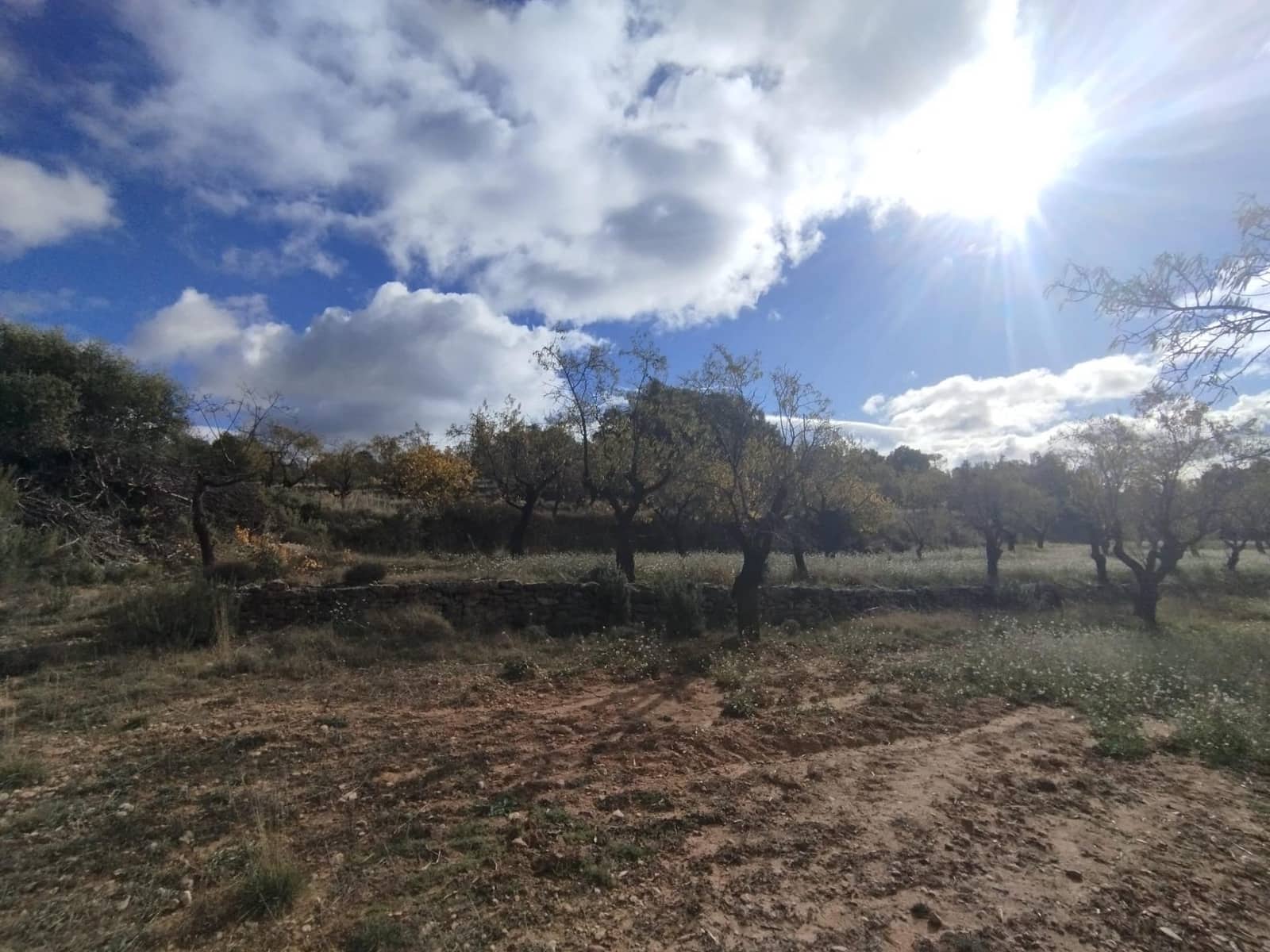 1 chambre Finca/Maison de Campagne à vendre à Rafales - 16 000 € (Ref: 9822750)