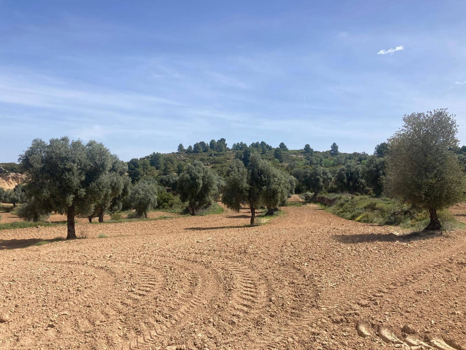 1 slaapkamer Finca/Landhuis te koop in Calaceite - € 11.500 (Ref: 9825433)