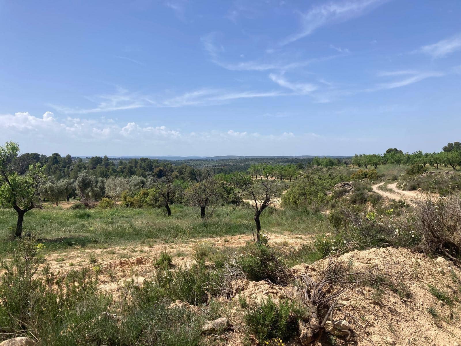 1 slaapkamer Finca/Landhuis te koop in Calaceite - € 11.500 (Ref: 9825433)