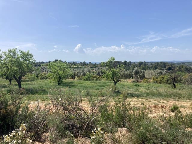 1 chambre Finca/Maison de Campagne à vendre à Calaceite - 11 500 € (Ref: 9825433)