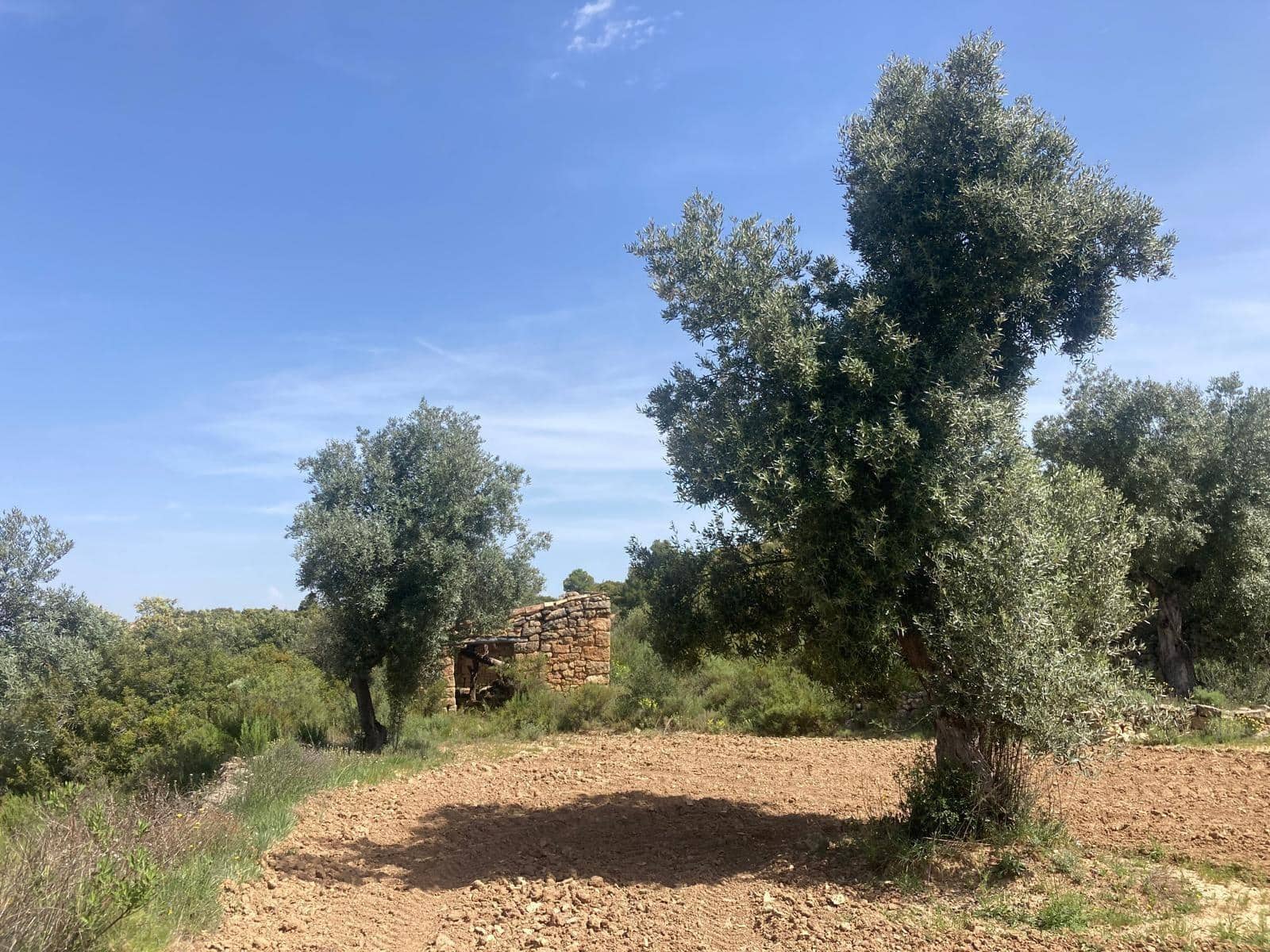 1 slaapkamer Finca/Landhuis te koop in Calaceite - € 11.500 (Ref: 9825433)