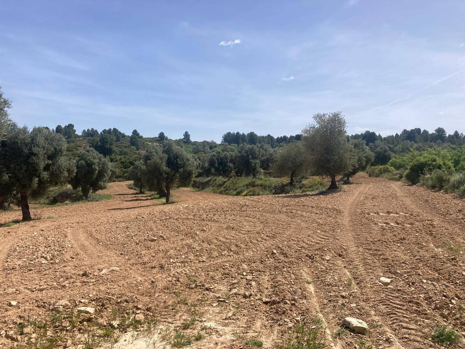 1 slaapkamer Finca/Landhuis te koop in Calaceite - € 11.500 (Ref: 9825433)