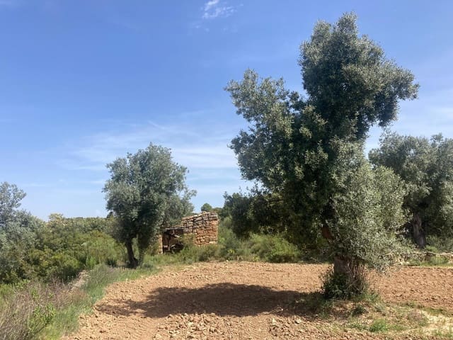 1 chambre Finca/Maison de Campagne à vendre à Calaceite - 11 500 € (Ref: 9825433)