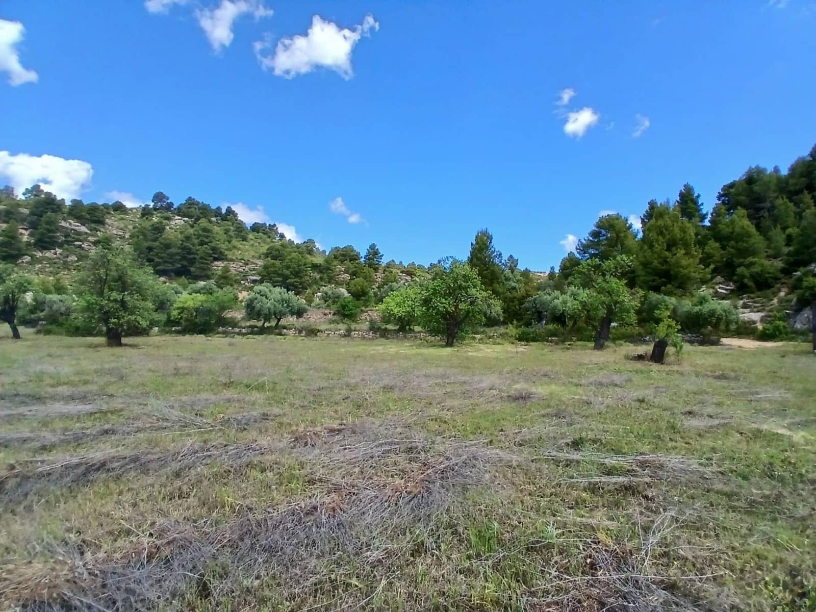 Finca/Maison de Campagne à vendre à Valderrobres - 42 500 € (Ref: 9831698)