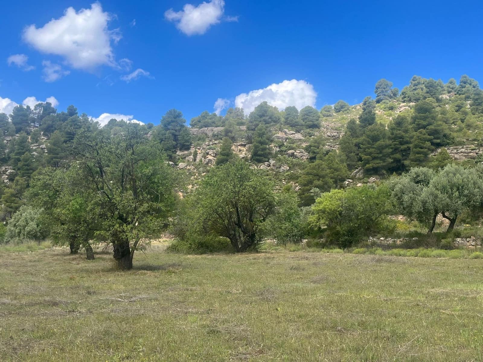 Finca/Maison de Campagne à vendre à Valderrobres - 42 500 € (Ref: 9831698)