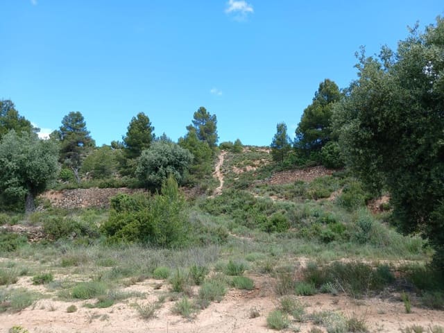 Finca/Maison de Campagne à vendre à Valderrobres - 42 500 € (Ref: 9831698)