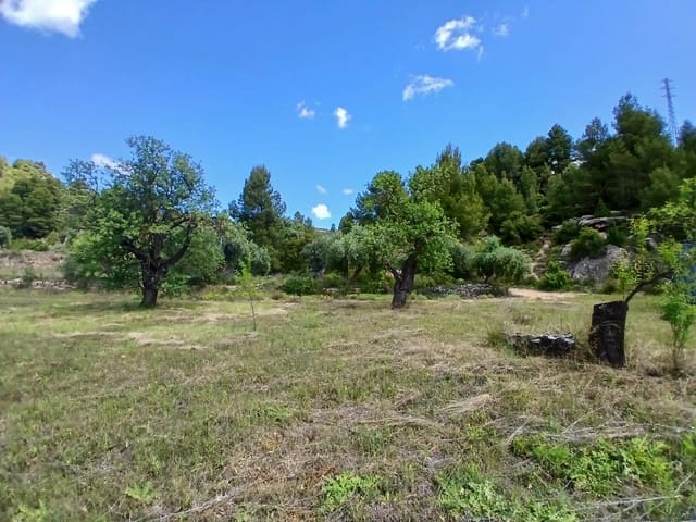 Finca/Maison de Campagne à vendre à Valderrobres - 42 500 € (Ref: 9831698)