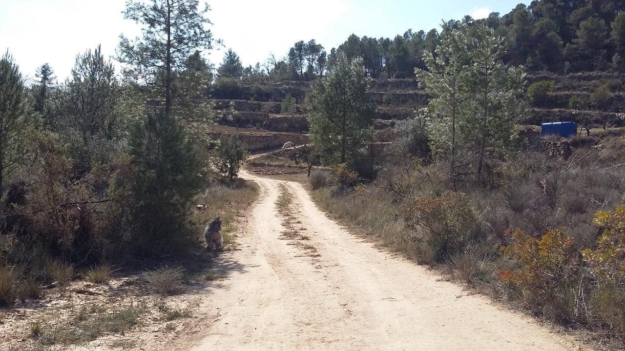 1 quarto Quinta/Casa Rural para venda em Arens de Lledo - 65 000 € (Ref: 9831699)