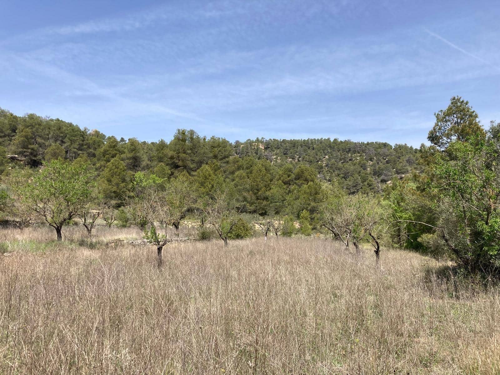 1 quarto Quinta/Casa Rural para venda em Arens de Lledo - 65 000 € (Ref: 9831699)