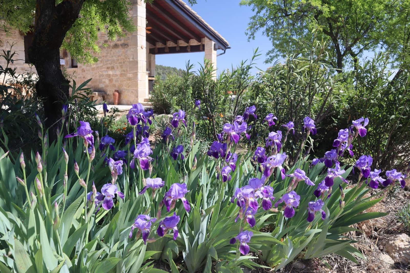3 bedroom Finca/Country House for sale in La Fresneda - € 599,000 (Ref: 9843707)