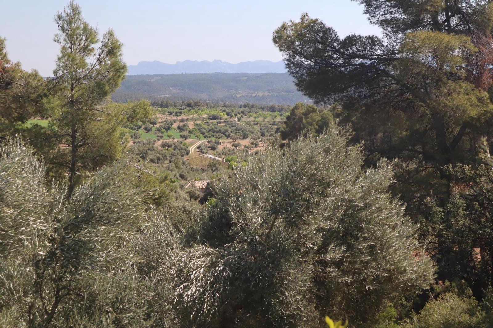 3 bedroom Finca/Country House for sale in La Fresneda - € 599,000 (Ref: 9843707)