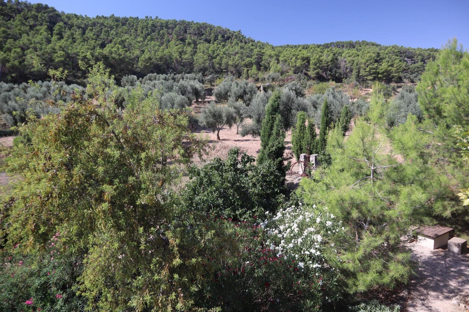 3 bedroom Finca/Country House for sale in La Fresneda - € 599,000 (Ref: 9843707)