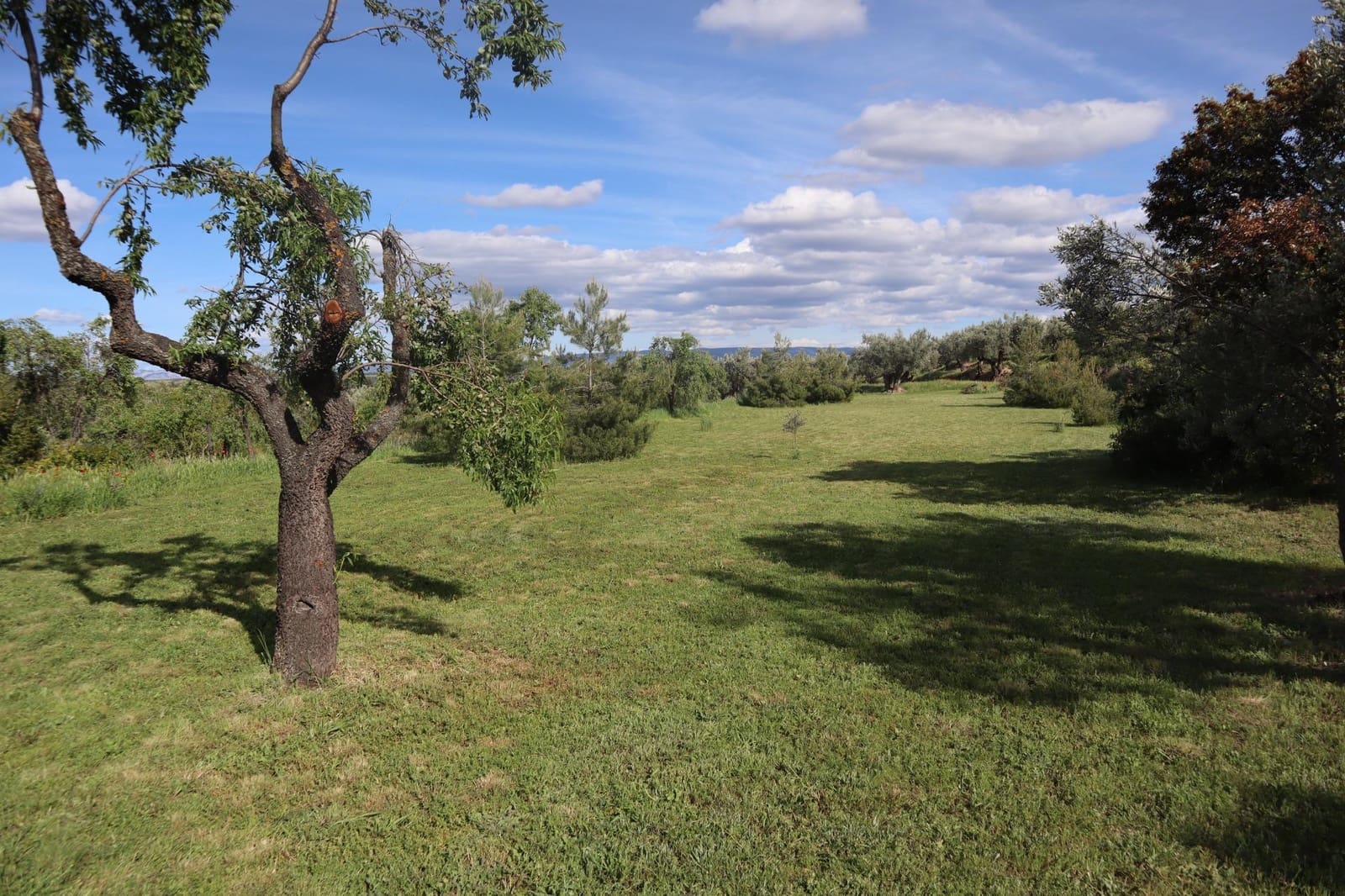 3 bedroom Finca/Country House for sale in La Fresneda - € 599,000 (Ref: 9843707)