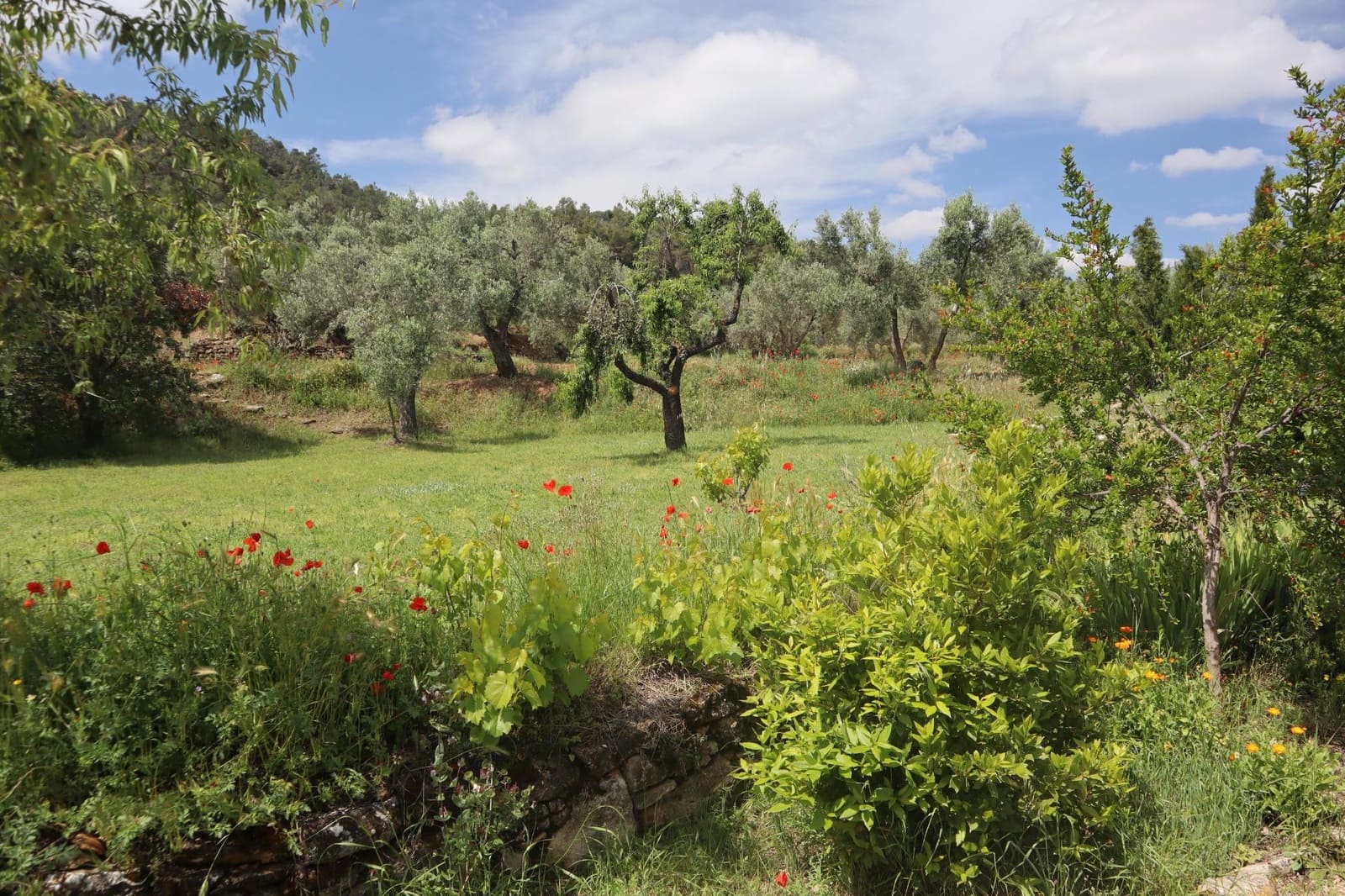 3 bedroom Finca/Country House for sale in La Fresneda - € 599,000 (Ref: 9843707)