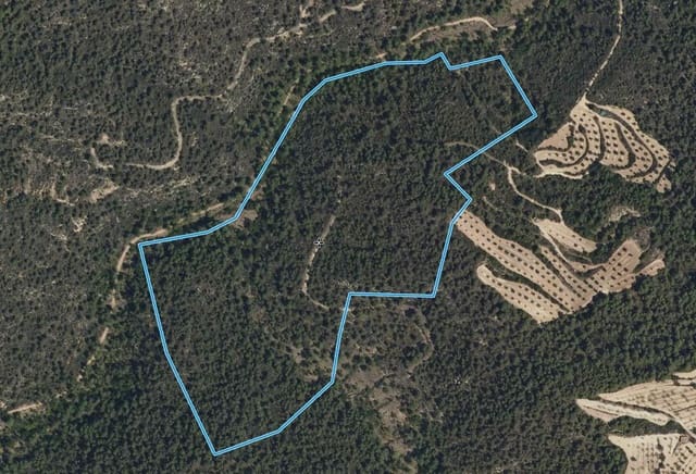 Finca/Casa Rural de 1 habitación en Arens de Lledó en venta - 20.000 € (Ref: 9849596)