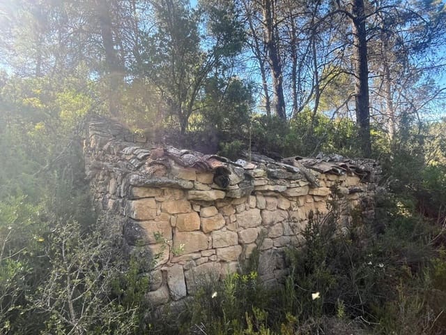 Finca/Casa Rural de 1 habitación en Arens de Lledó en venta - 20.000 € (Ref: 9849596)