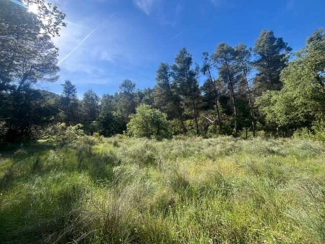 Finca/Casa Rural de 1 habitación en Arens de Lledó en venta - 20.000 € (Ref: 9849596)