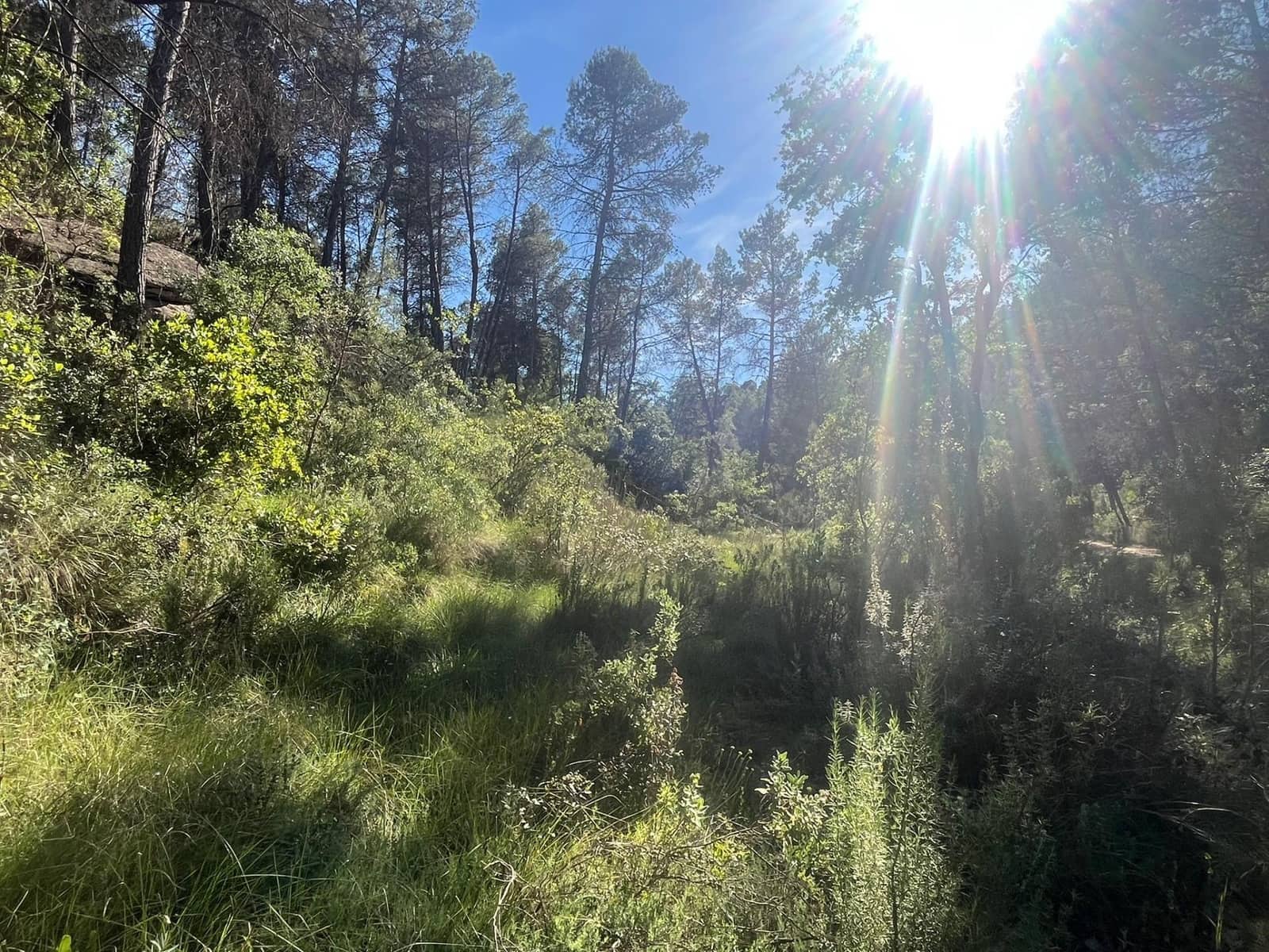1 soverom Finca/Herregård til salgs i Arens de Lledo - € 20 000 (Ref: 9849596)