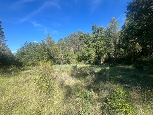 Finca/Casa Rural de 1 habitación en Arens de Lledó en venta - 20.000 € (Ref: 9849596)