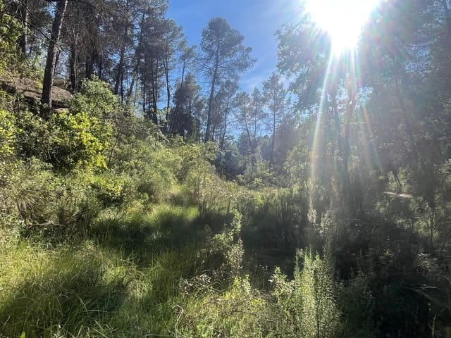 Finca/Casa Rural de 1 habitación en Arens de Lledó en venta - 20.000 € (Ref: 9849596)