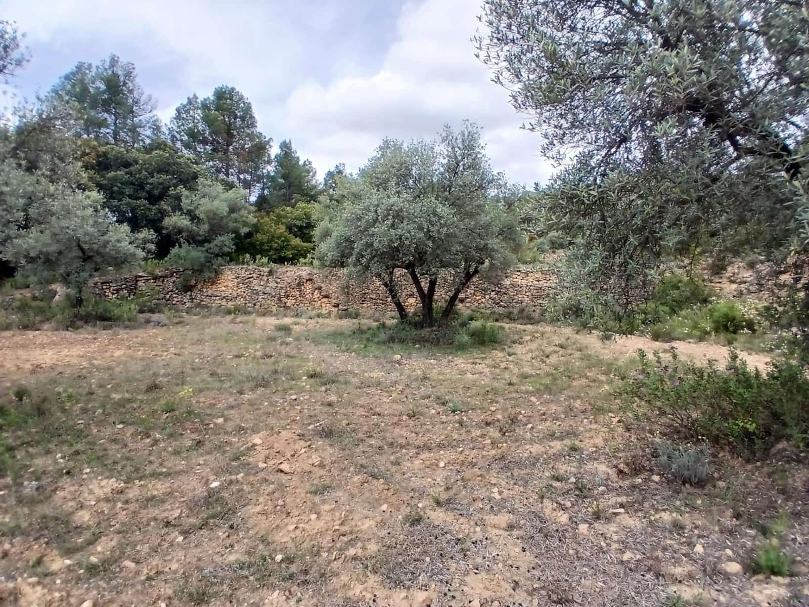1 bedroom Finca/Country House for sale in Fornoles - € 54,000 (Ref: 9876601)