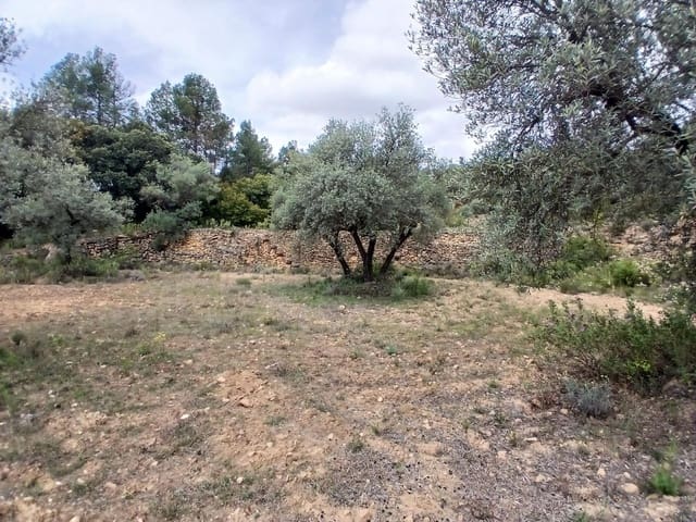 1 sypialnia Finka/Dom wiejski na sprzedaż w Fórnoles - 54 000 € (Ref: 9876601)