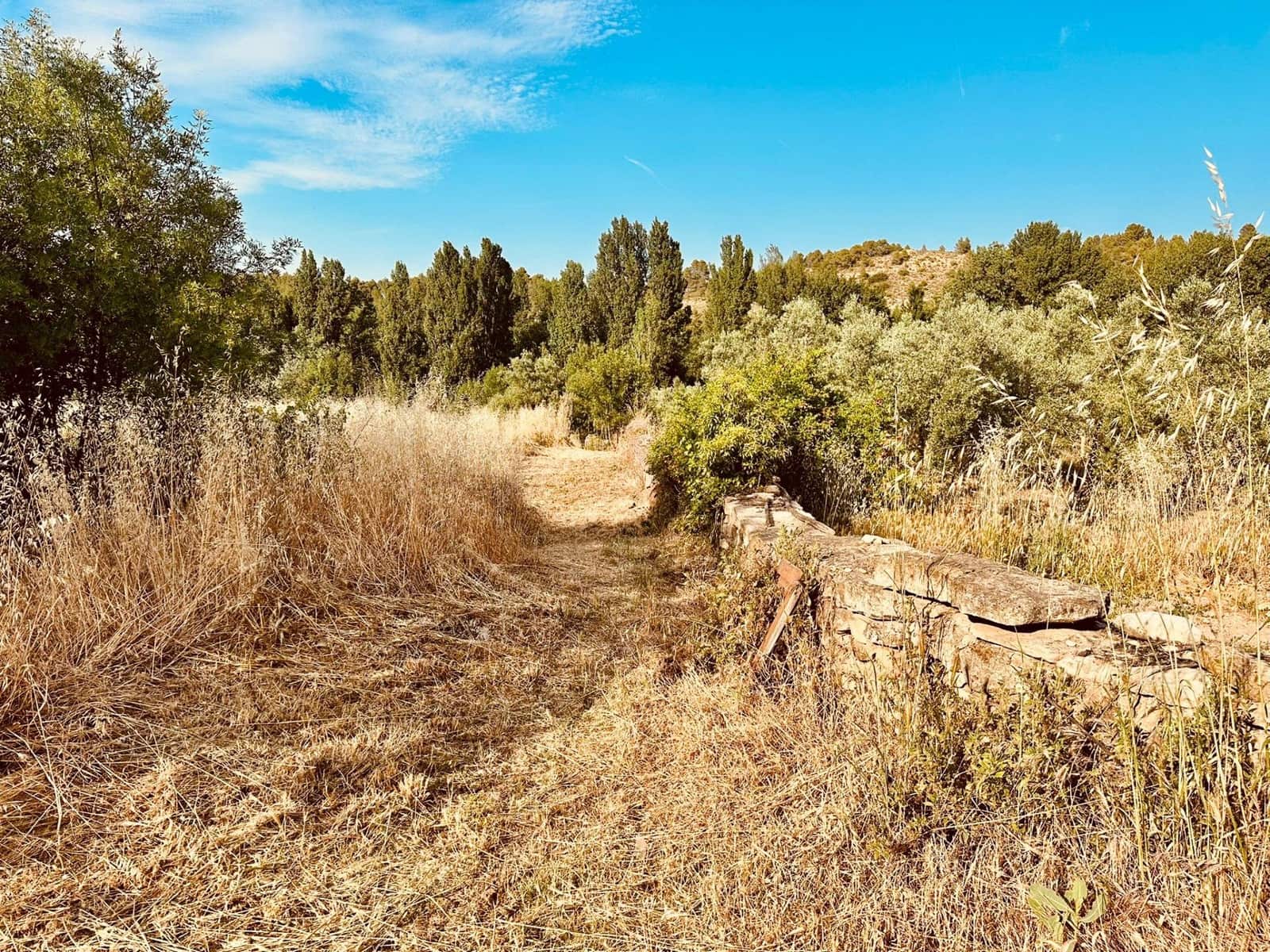 1 Zimmer Finca/Landgut zu verkaufen in La Fresneda - 60.000 € (Ref: 9894064)