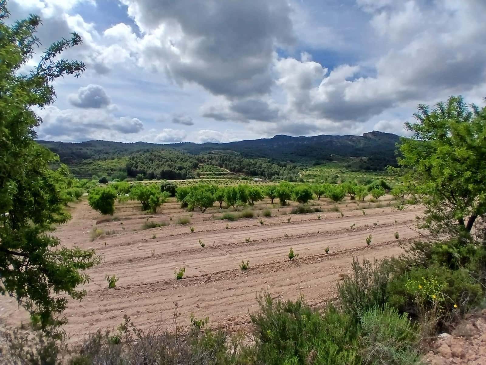 1 slaapkamer Finca/Landhuis te koop in Corbera d'Ebre - € 160.000 (Ref: 9922521)