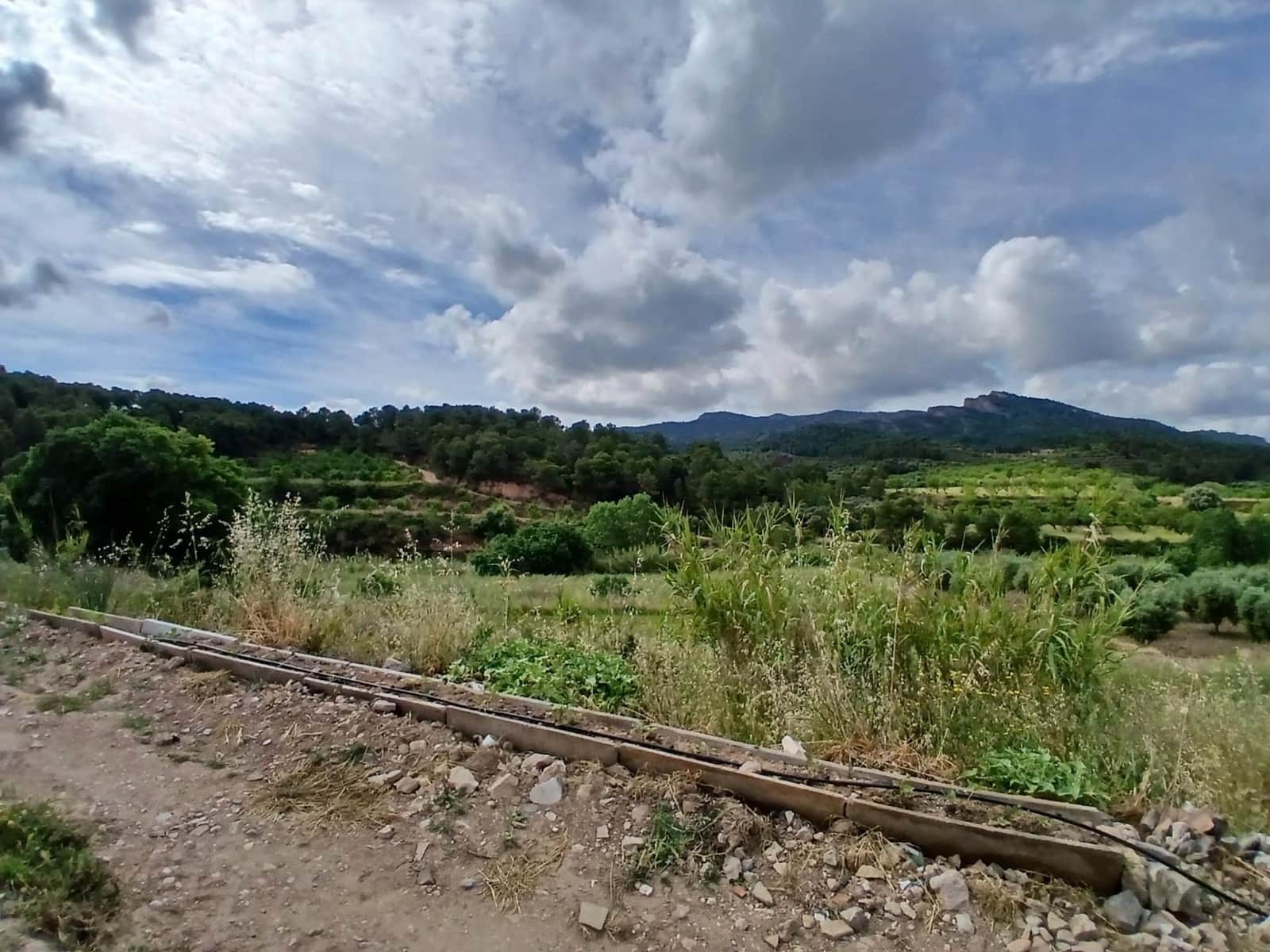 1 slaapkamer Finca/Landhuis te koop in Corbera d'Ebre - € 160.000 (Ref: 9922521)