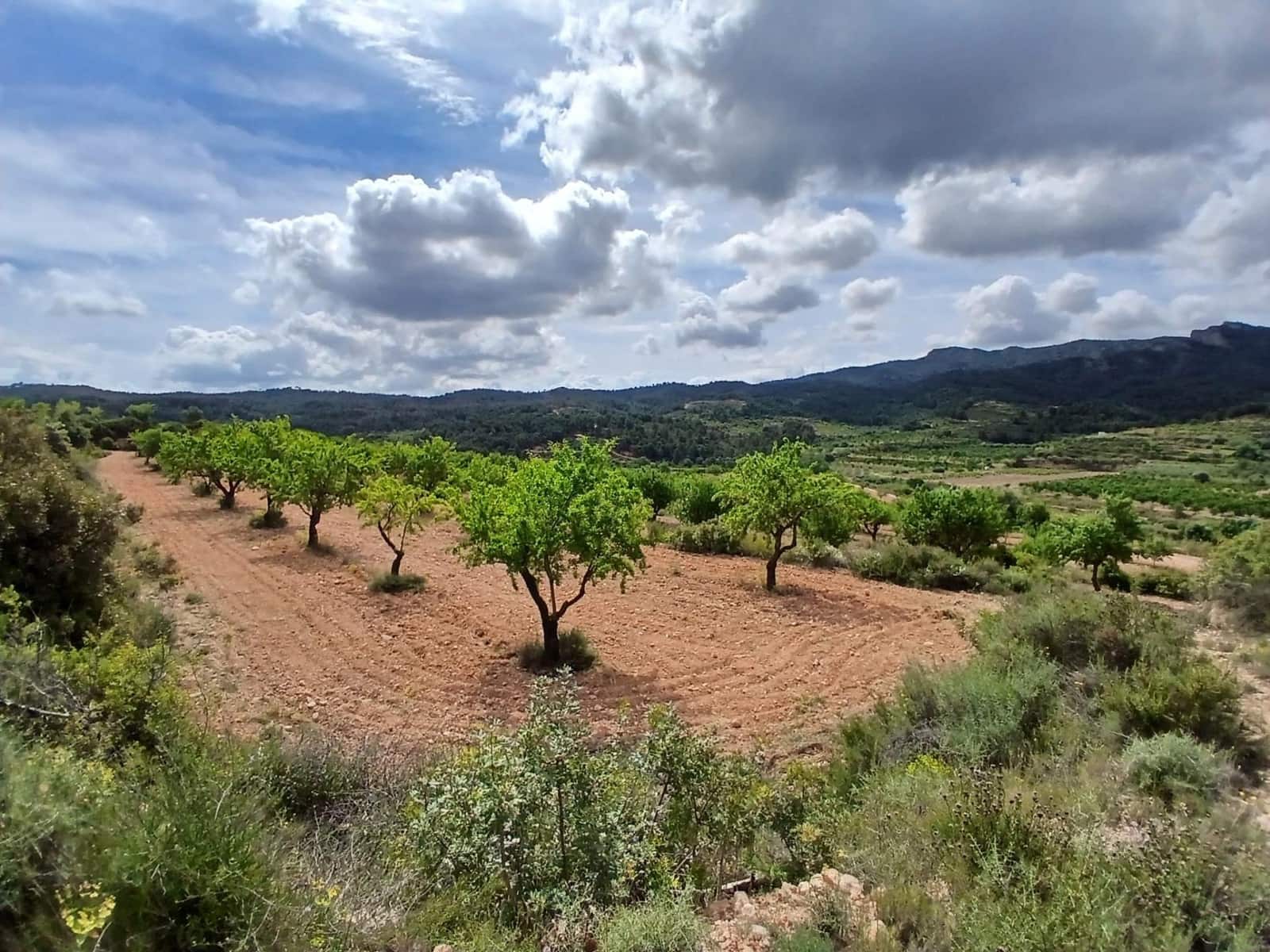 1 slaapkamer Finca/Landhuis te koop in Corbera d'Ebre - € 160.000 (Ref: 9922521)