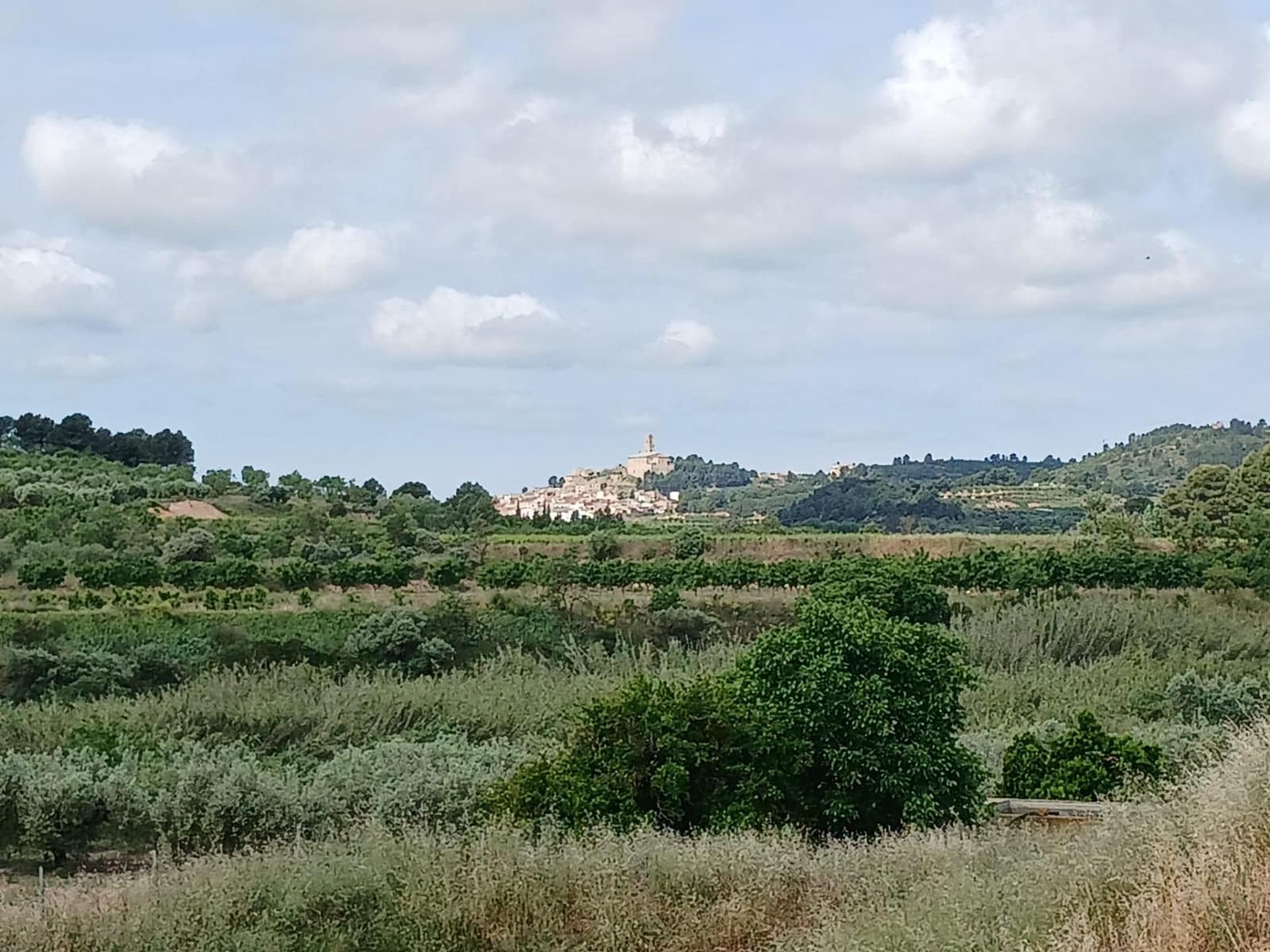 1 slaapkamer Finca/Landhuis te koop in Corbera d'Ebre - € 160.000 (Ref: 9922521)