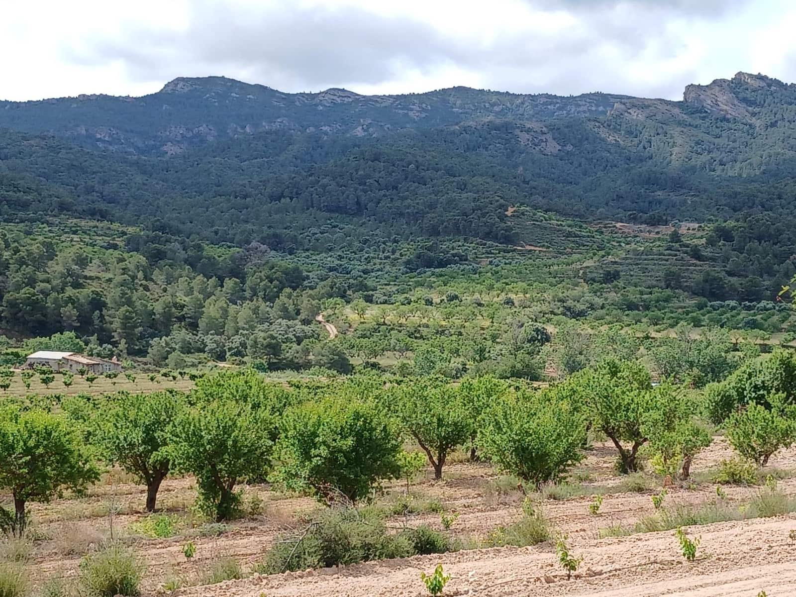 1 slaapkamer Finca/Landhuis te koop in Corbera d'Ebre - € 160.000 (Ref: 9922521)