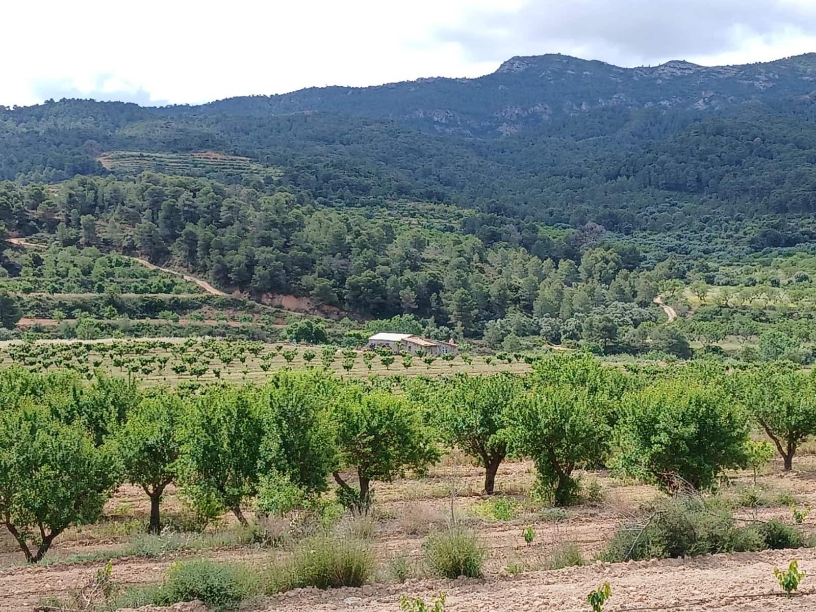 1 slaapkamer Finca/Landhuis te koop in Corbera d'Ebre - € 160.000 (Ref: 9922521)