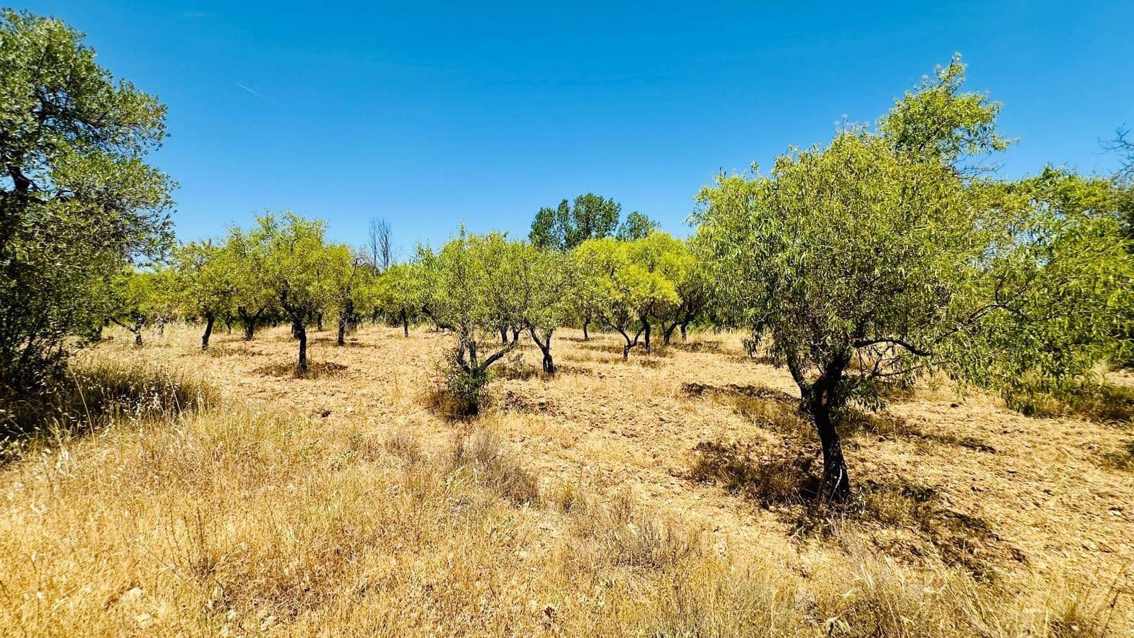 1 chambre Finca/Maison de Campagne à vendre à Cretas - 105 000 € (Ref: 9942670)