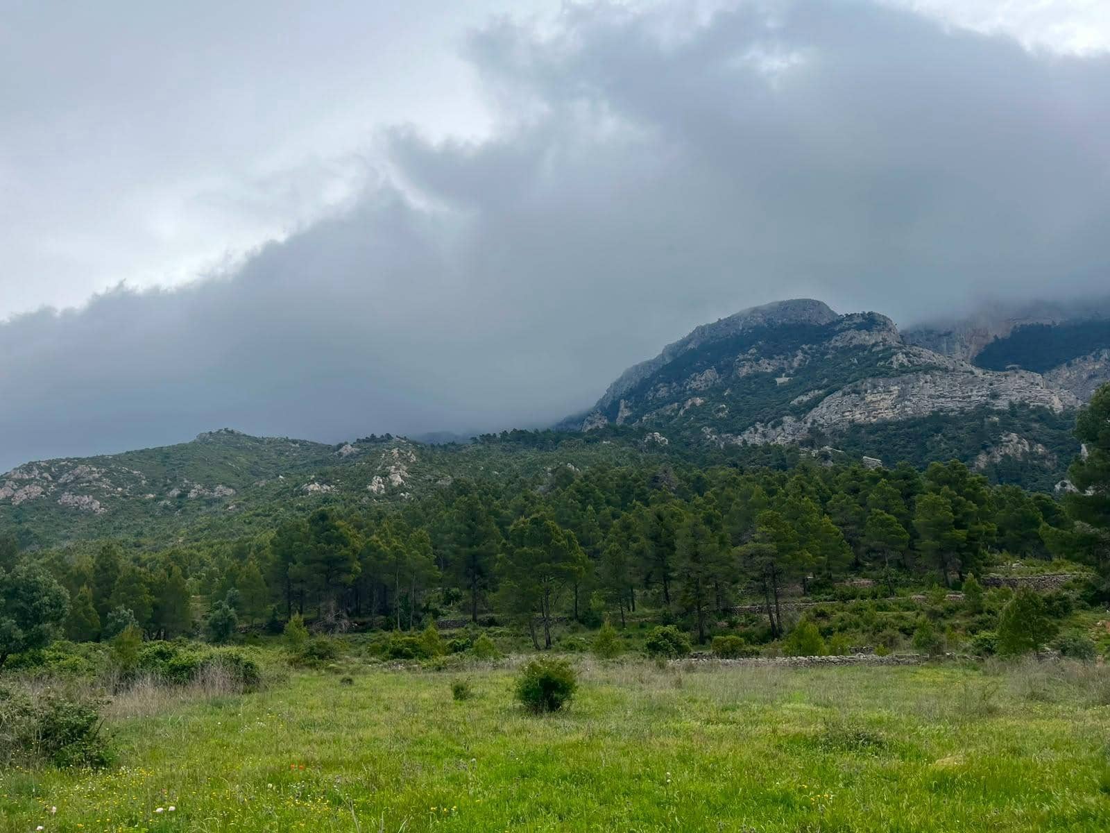 6 sypialnia Finka/Dom wiejski na sprzedaż w Horta de Sant Joan - 550 000 € (Ref: 9965452)