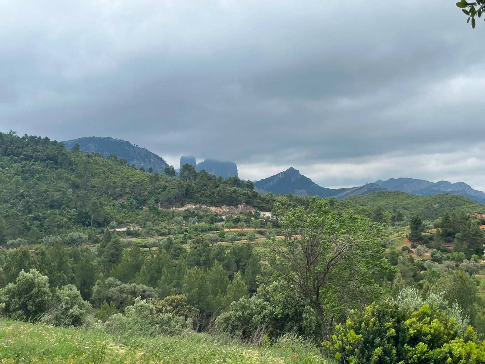 6 sypialnia Finka/Dom wiejski na sprzedaż w Horta de Sant Joan - 550 000 € (Ref: 9965452)