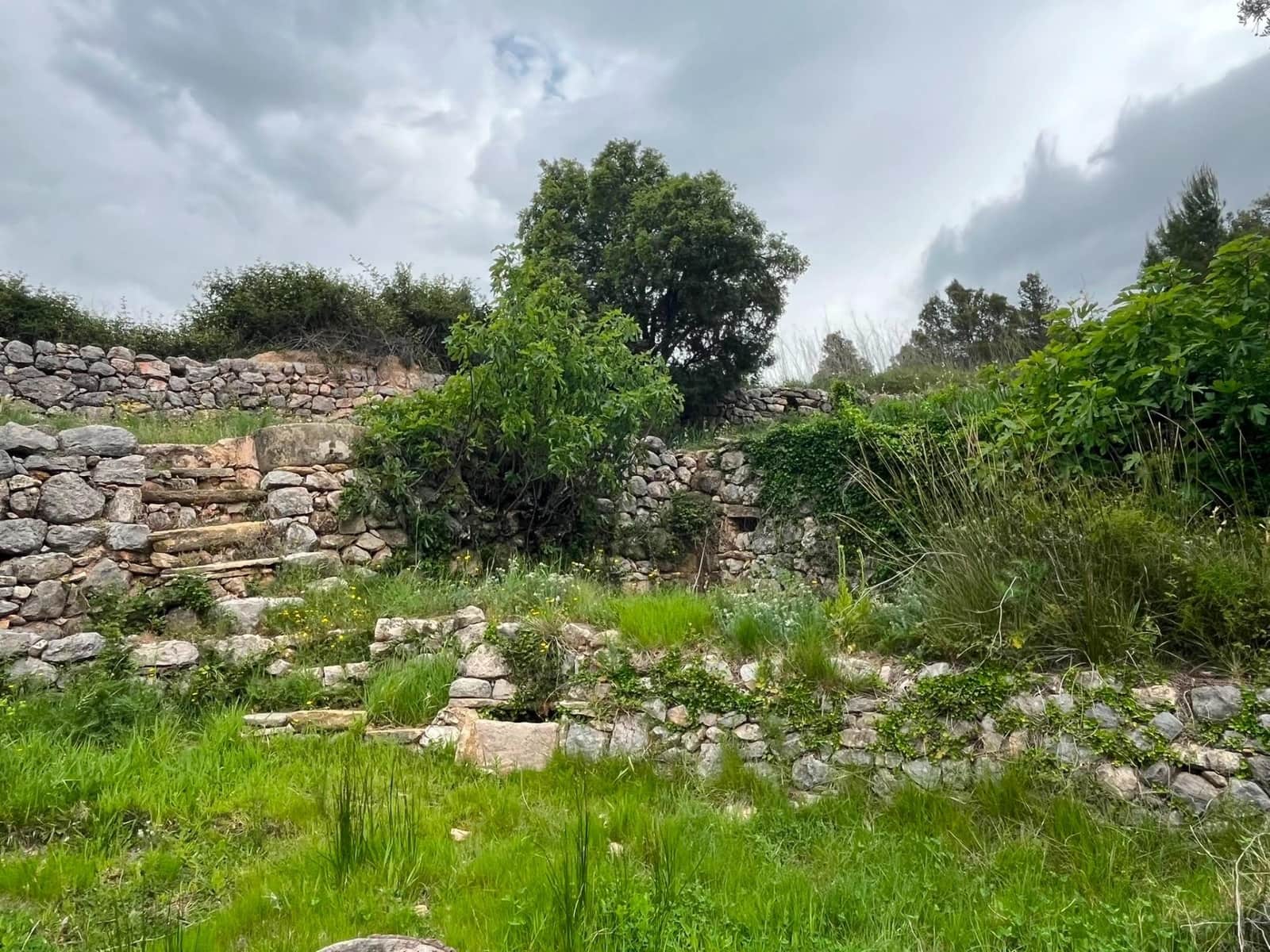 6 sypialnia Finka/Dom wiejski na sprzedaż w Horta de Sant Joan - 550 000 € (Ref: 9965452)