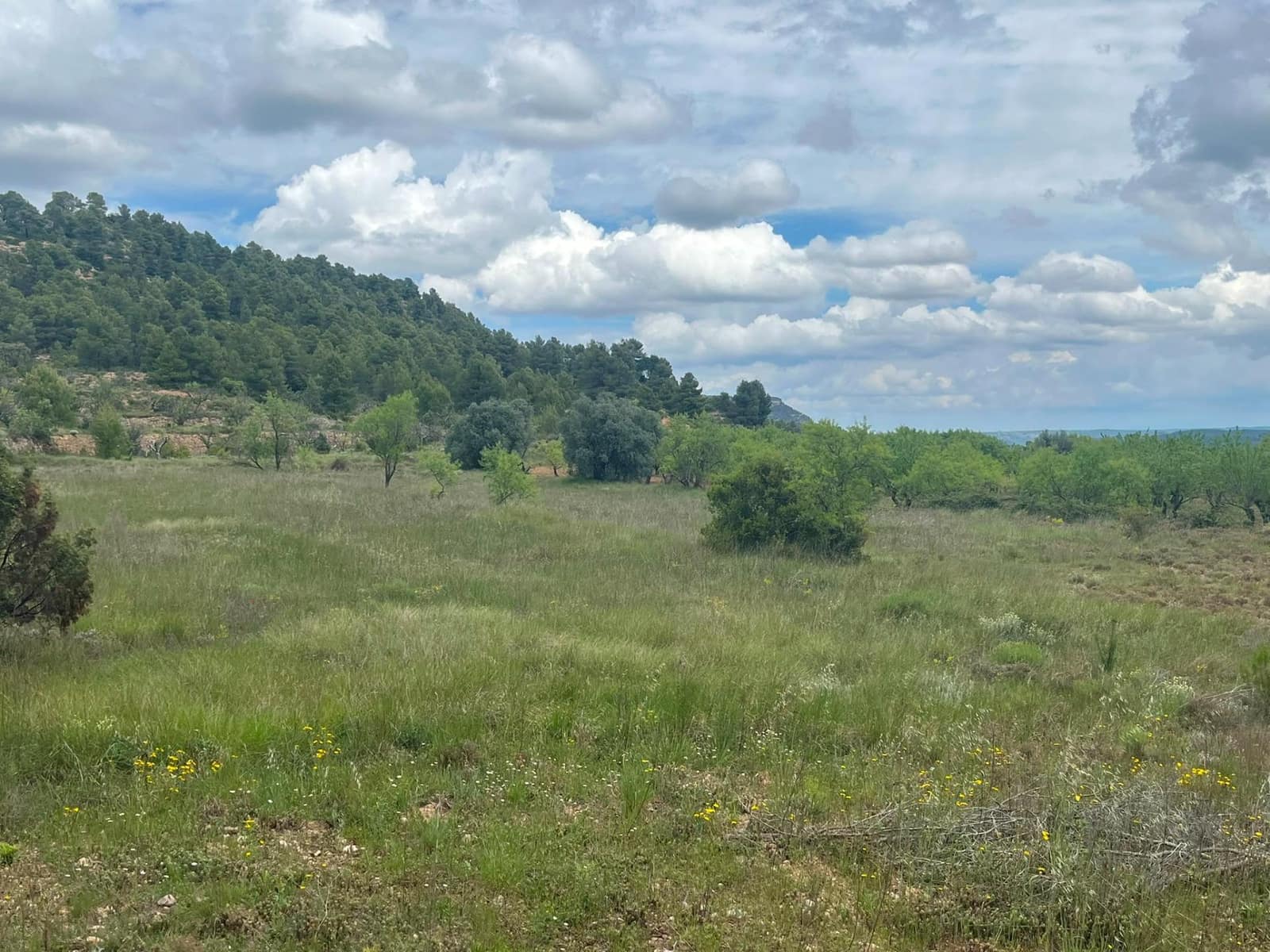1 bedroom Finca/Country House for sale in Rafales - € 59,000 (Ref: 9966773)