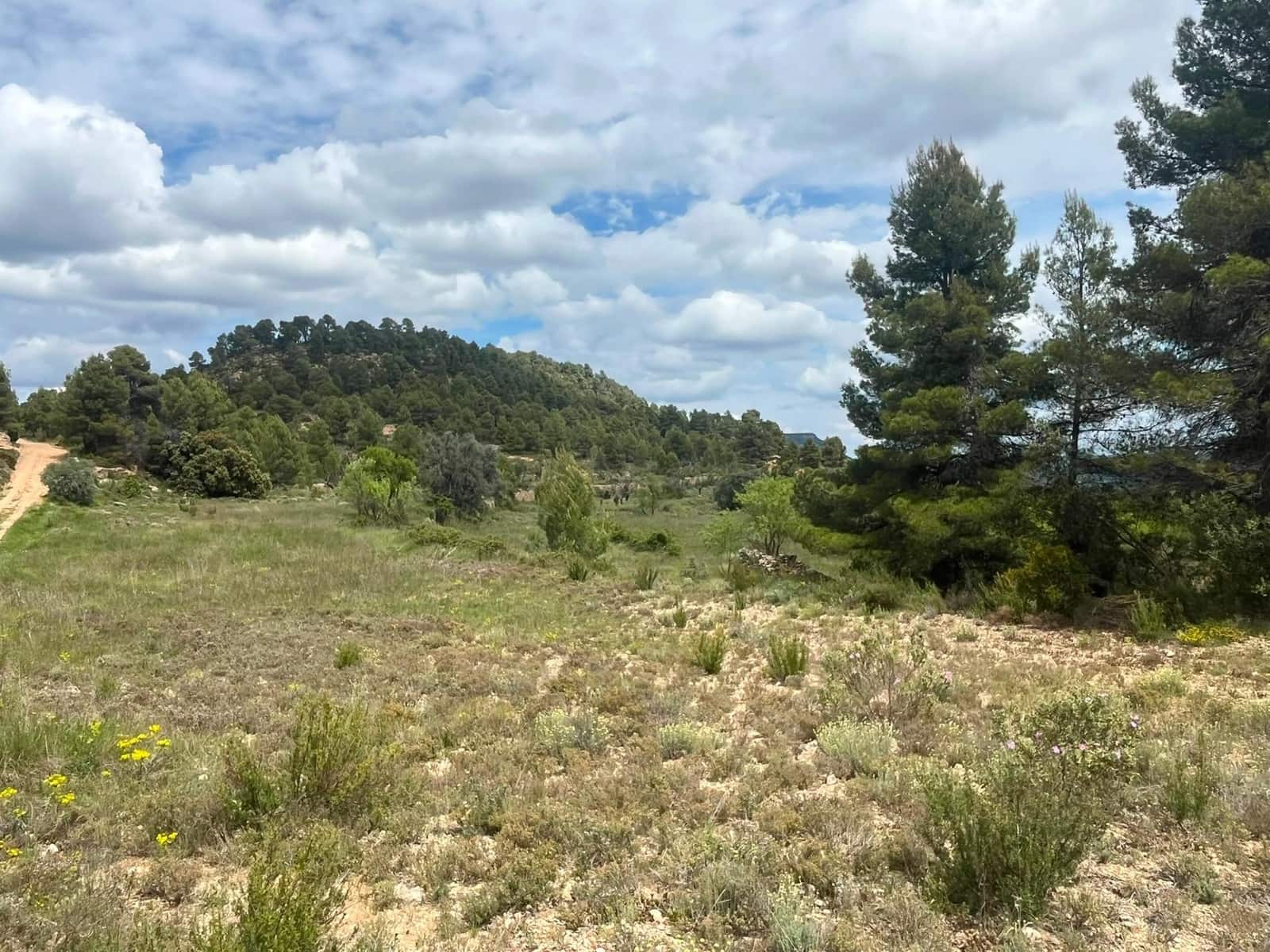 1 bedroom Finca/Country House for sale in Rafales - € 59,000 (Ref: 9966773)