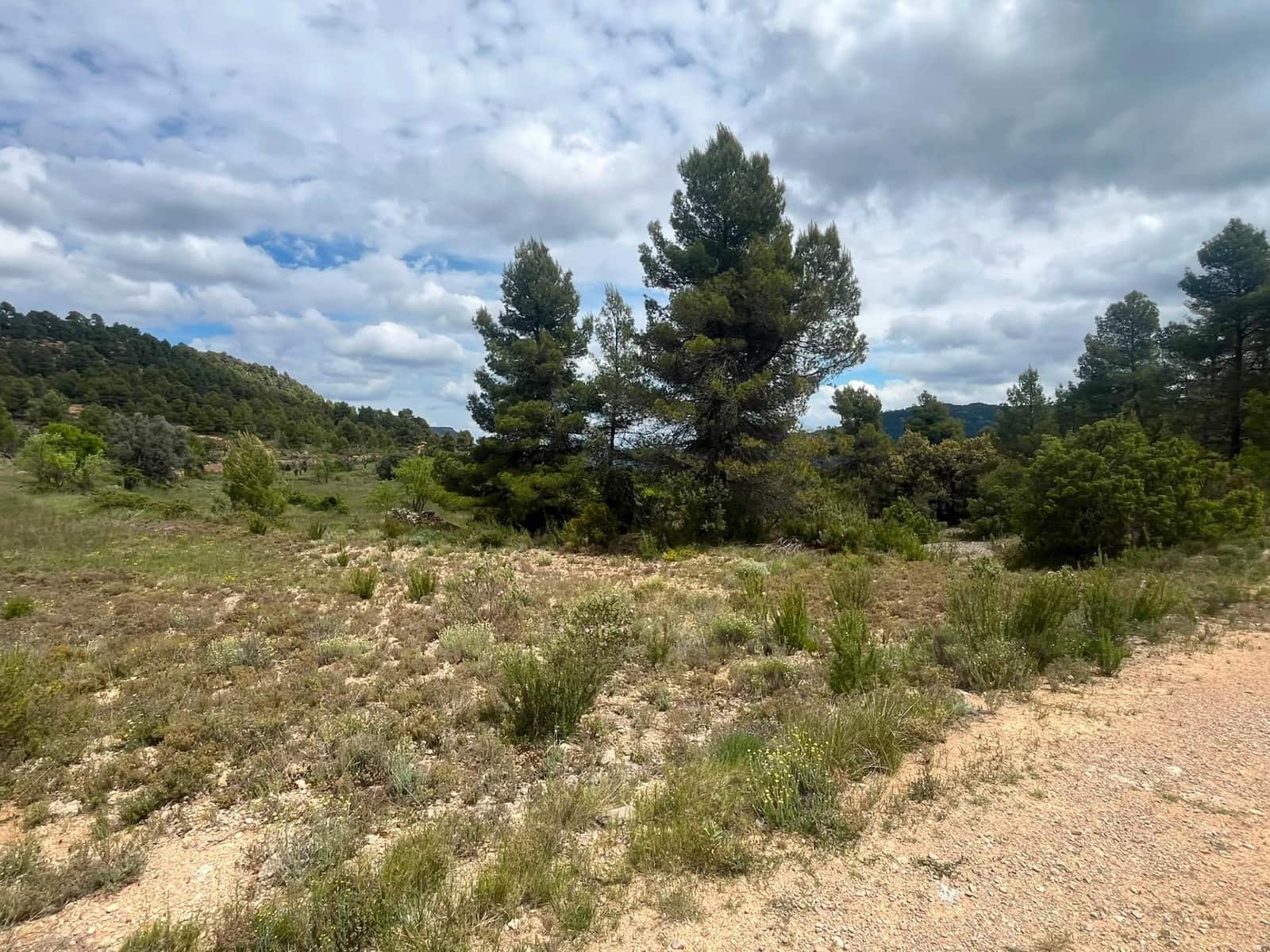 1 bedroom Finca/Country House for sale in Rafales - € 59,000 (Ref: 9966773)