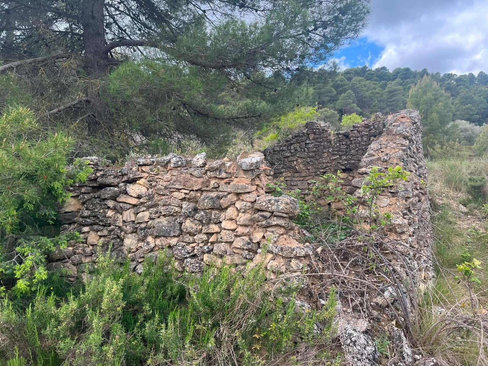1 bedroom Finca/Country House for sale in Rafales - € 59,000 (Ref: 9966773)