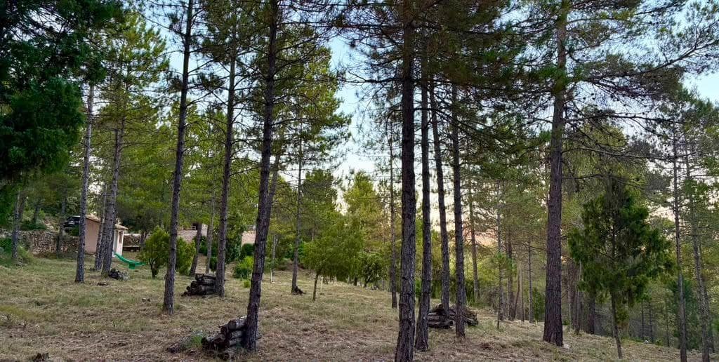 4 sypialnia Finka/Dom wiejski na sprzedaż w Monroyo - 450 000 € (Ref: 9966774)