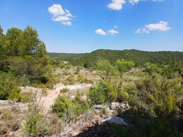 1 slaapkamer Finca/Landhuis te koop in Mazaleón - € 30.000 (Ref: 9994387)