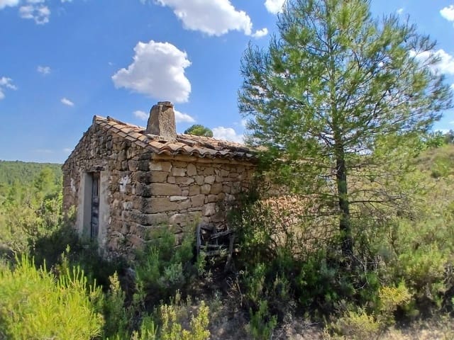 1 slaapkamer Finca/Landhuis te koop in Mazaleón - € 30.000 (Ref: 9994387)