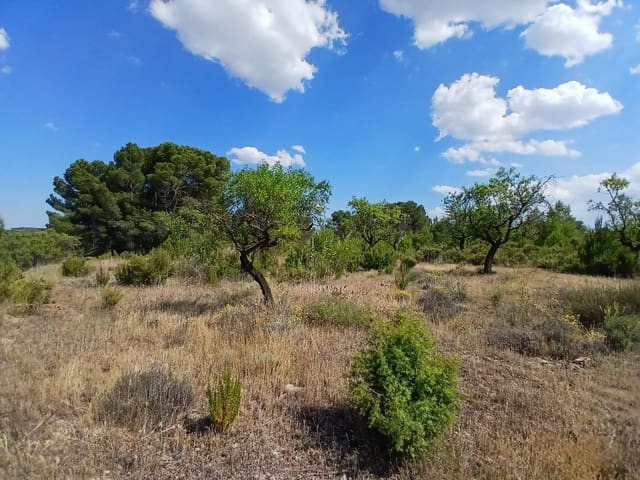 1 slaapkamer Finca/Landhuis te koop in Mazaleón - € 30.000 (Ref: 9994387)